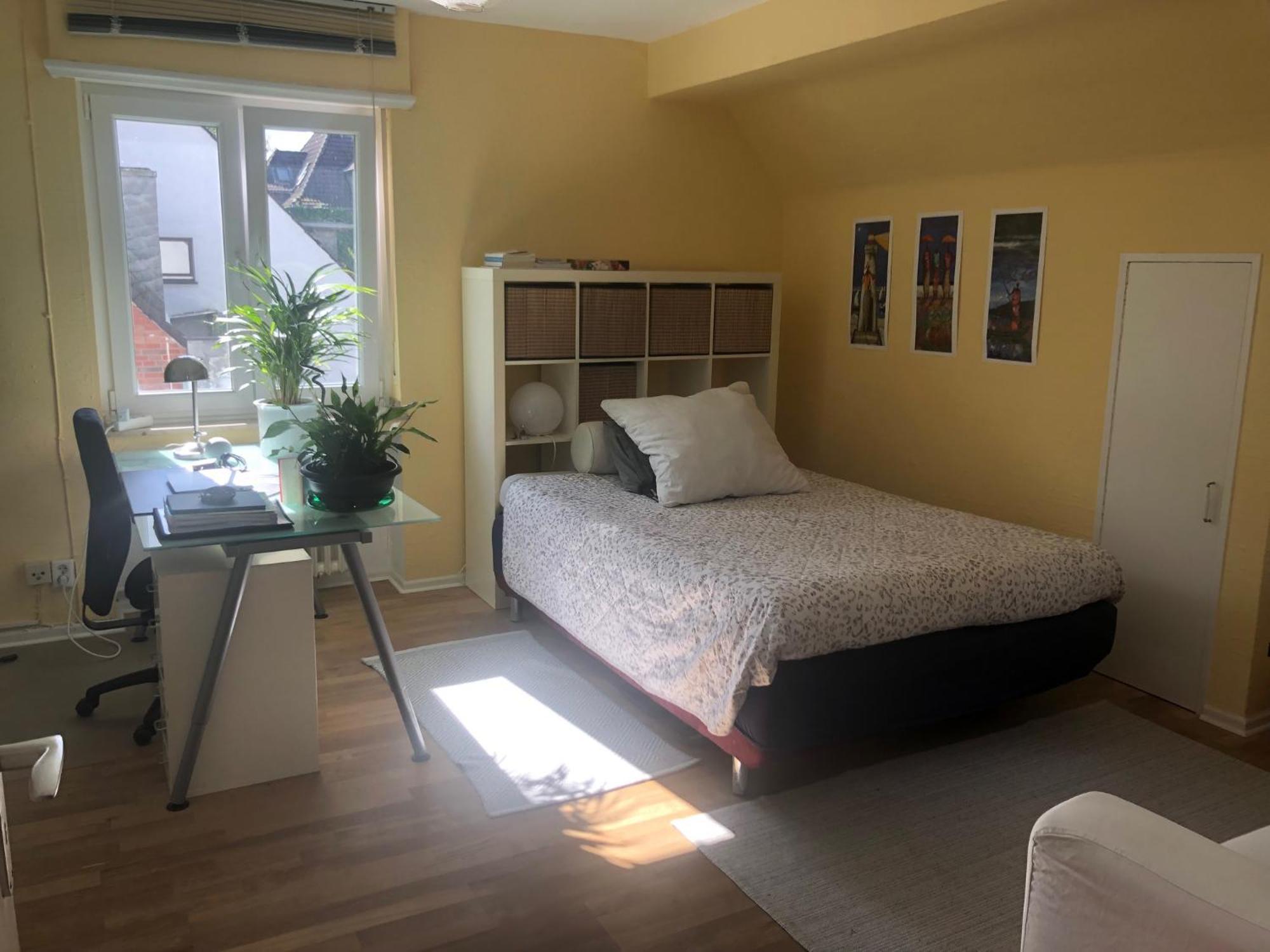 Glueck In Benrath Apartment Дюселдорф Екстериор снимка