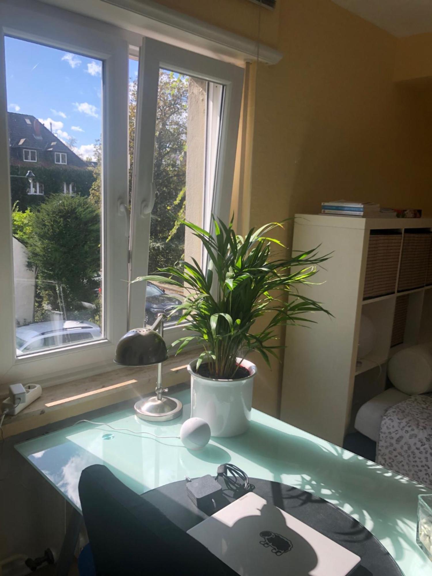 Glueck In Benrath Apartment Дюселдорф Екстериор снимка
